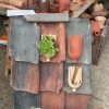 Dakpot