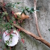 Vogel broedpot