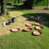 overzicht van tuingoed, vogelbadjes, luizenkippen en antraciet potten 